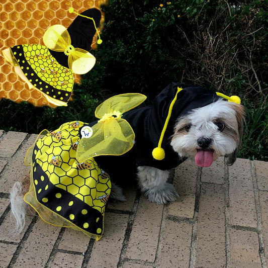 Nuevo Disfraz Para Mascota De Abeja Halloween💥 - SHOPIPOM