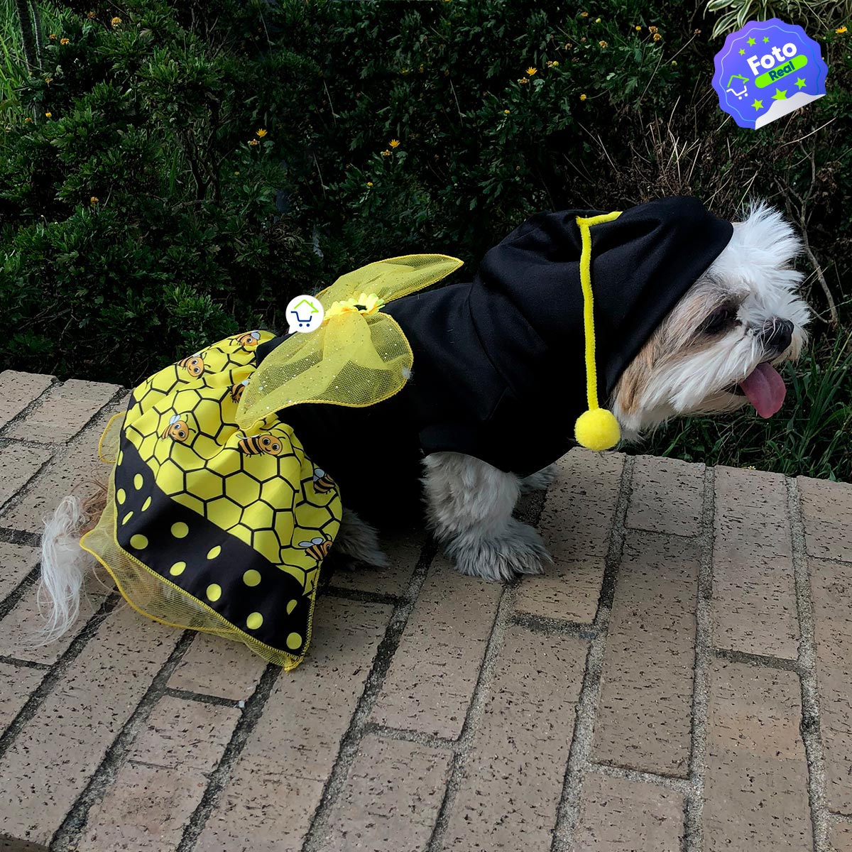 Nuevo Disfraz Para Mascota De Abeja Halloween💥 - SHOPIPOM