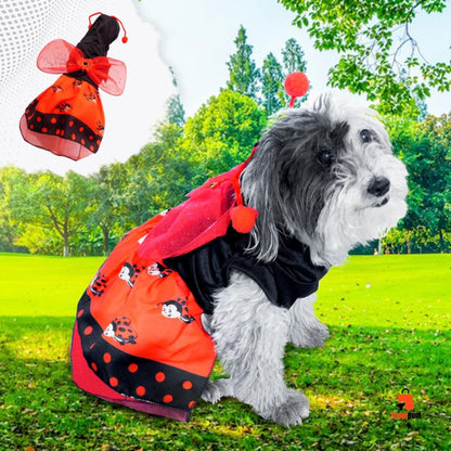 Nuevo Disfraz Para Mascota Mariquita Halloween💥 - SHOPIPOM