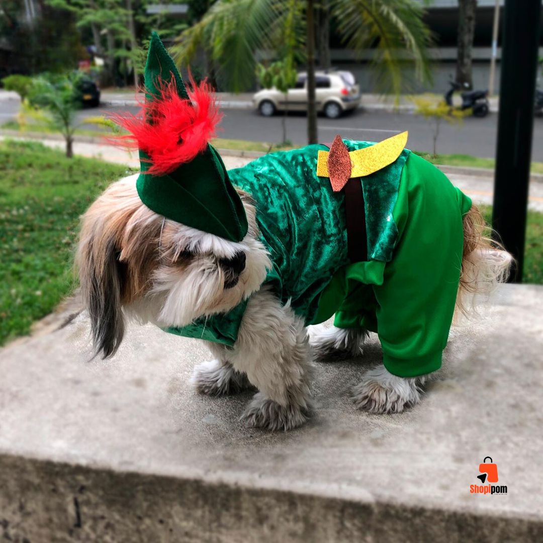 Nuevo Disfraz Para Mascotas de Peter Pan💥 - SHOPIPOM